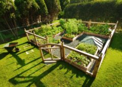 Creating a Sustainable Yet Luxurious Garden: What You Need to Know